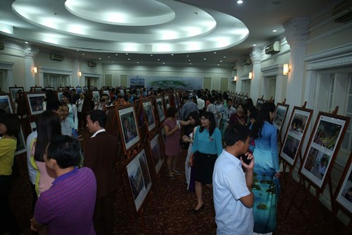 Exhibition on ASEAN photos and documentary films opens - ảnh 3